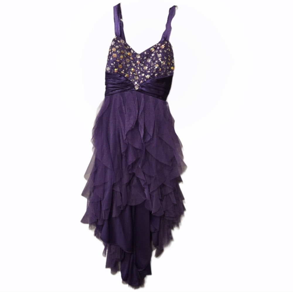 Dark Purple Prom Dress – Altered, Great Condition
